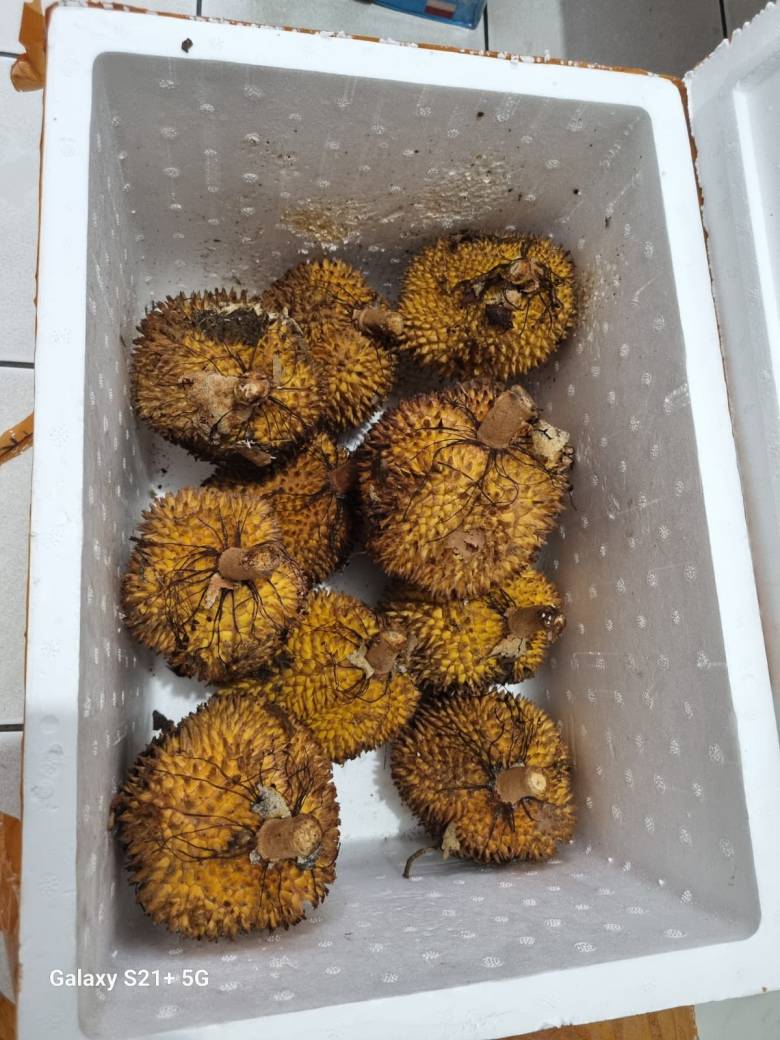 Kiriman Buah Lae dari Yansen TP dan Persahatan yang Diikat Ingatan